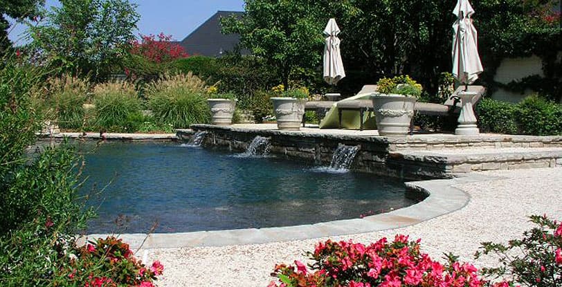 Freeform pool with three sheer-descent waterfalls and red flower borders