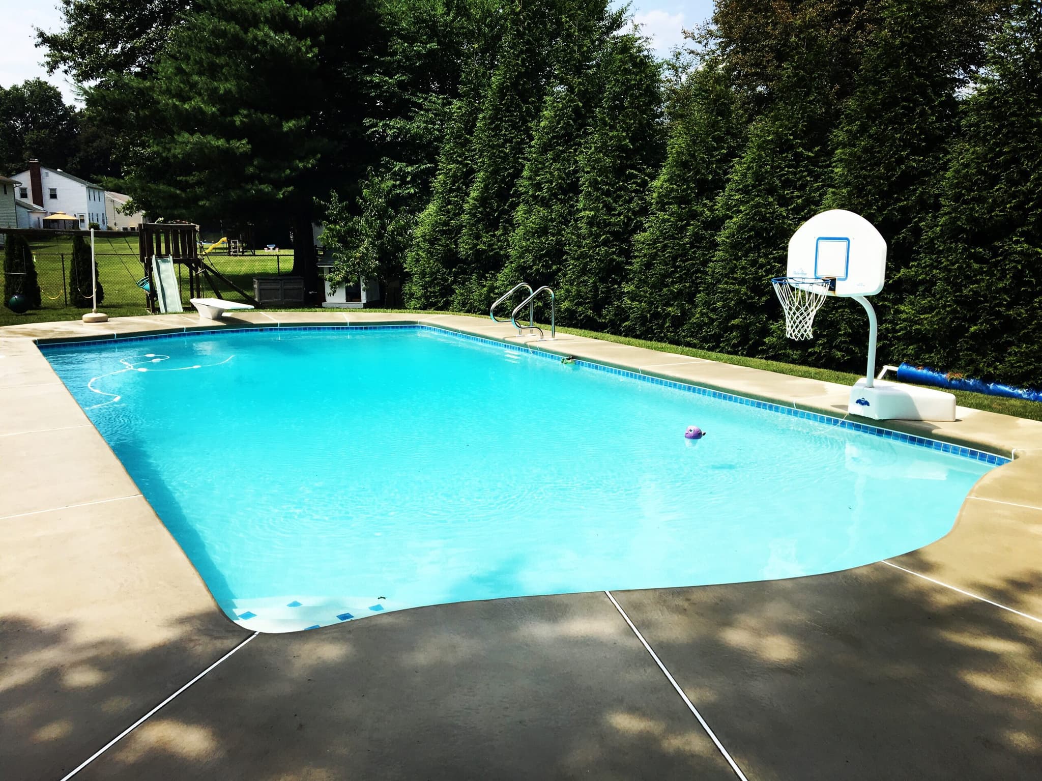 Rectangular pool with basketball hoop and plain concrete deck behind arborvitae hedge