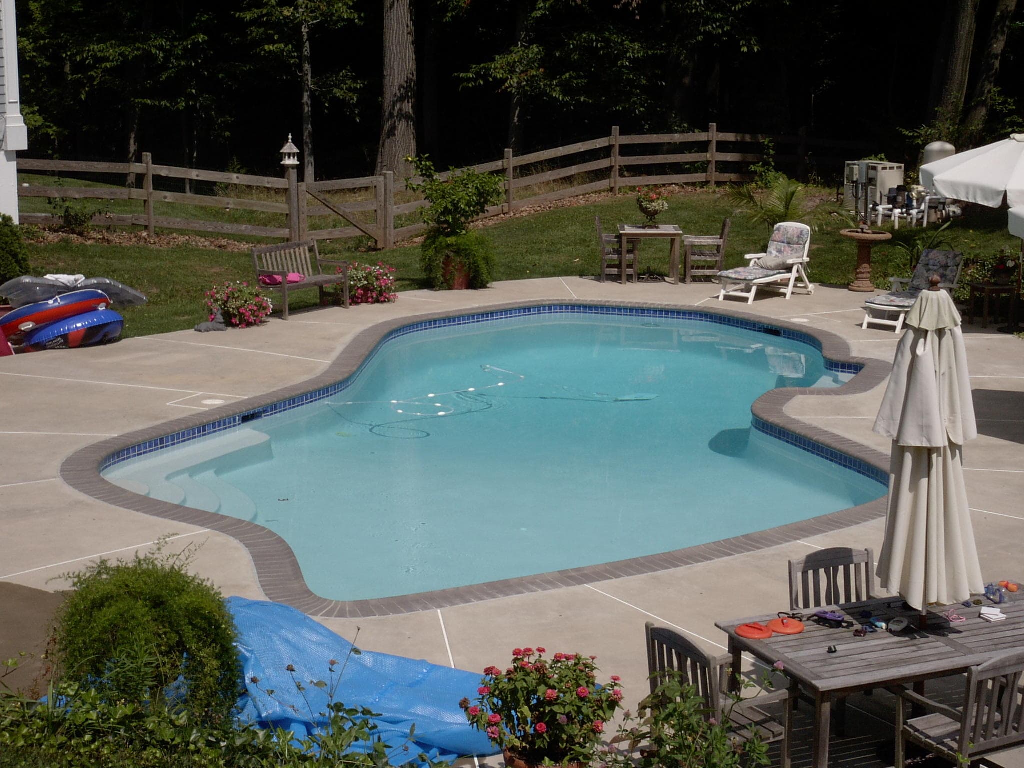 Freeform pool with cobblestone gray bullnose coping and plain concrete deck