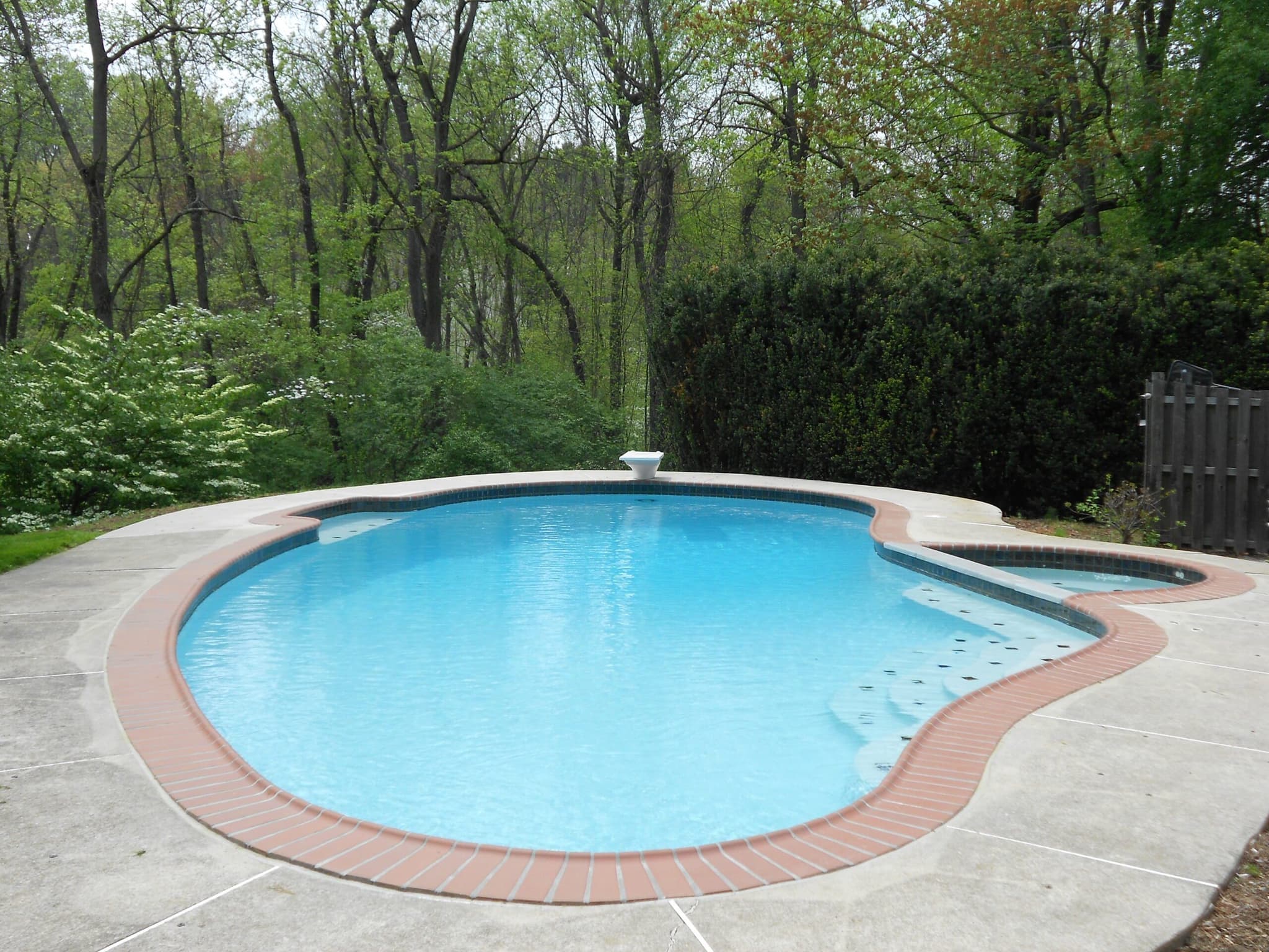 Kidney pool with red brick coping and fountain in shallow end among woods