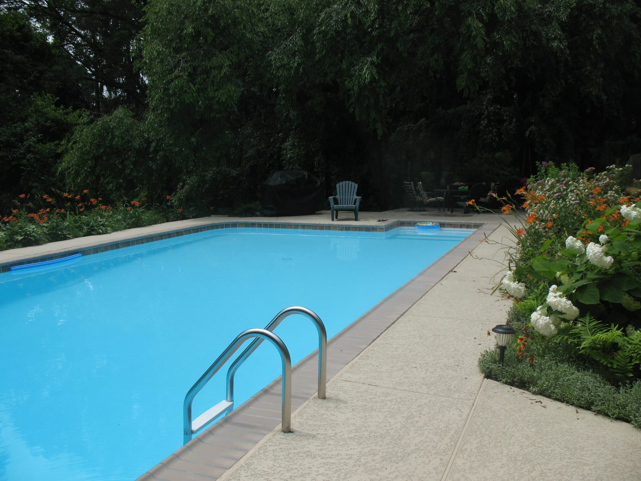 Long rectangular pool with chrome ladder bordered by daylilies, hydrangeas and willows