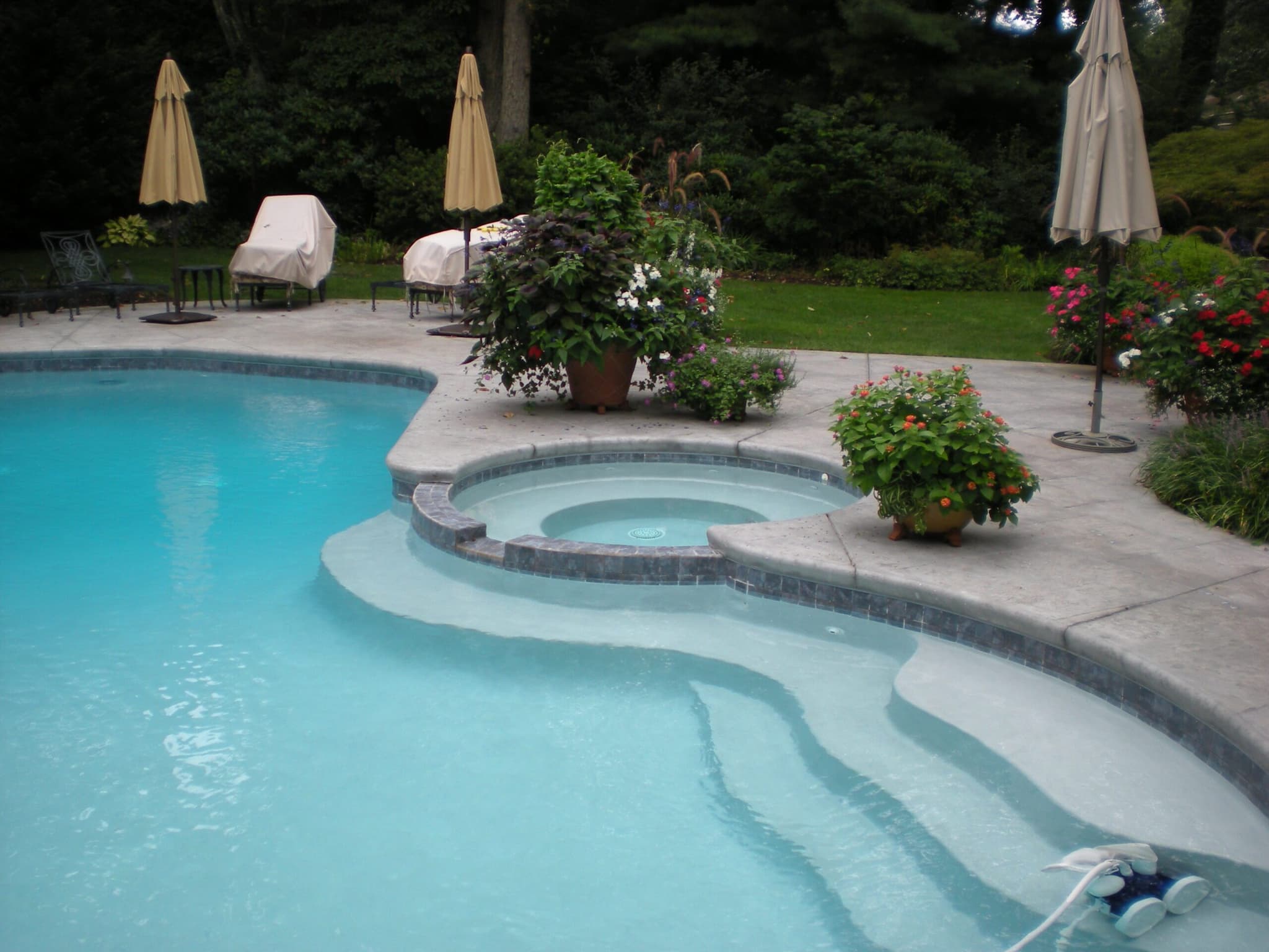 Freeform pool with raised tanning ledge and beige umbrellas on stamped concrete deck