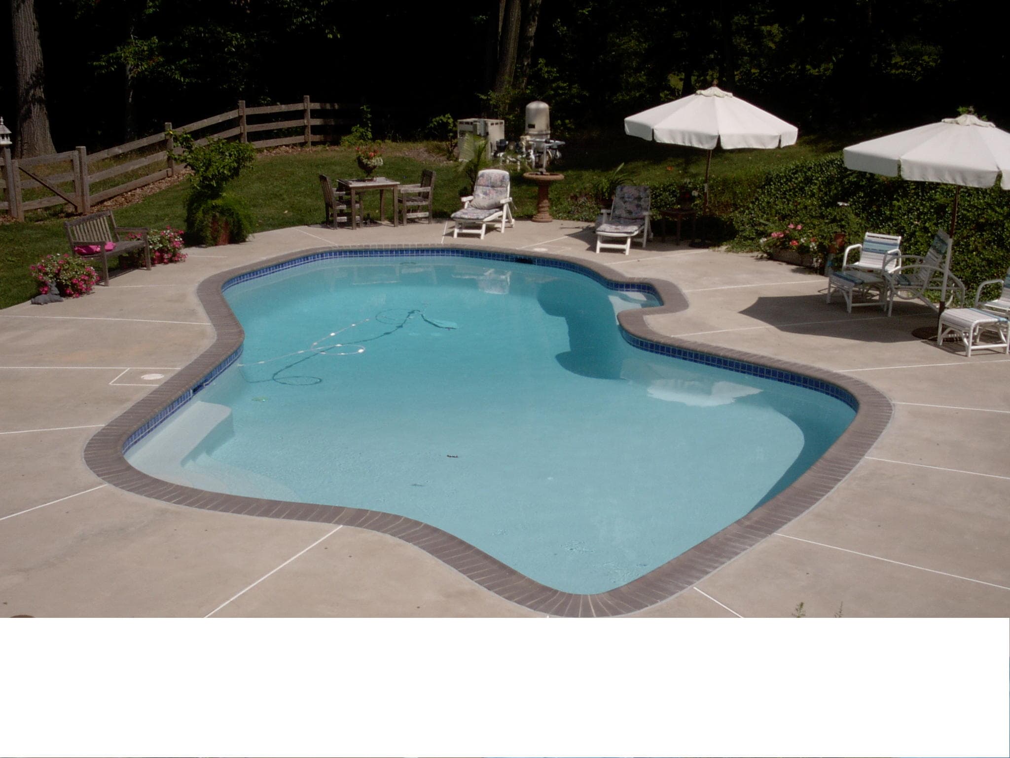 Freeform pool with bullnose coping, white loungers and umbrellas on concrete deck