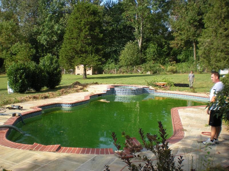 Neglected pool with green algae water before renovation — Premier Pool Renovations