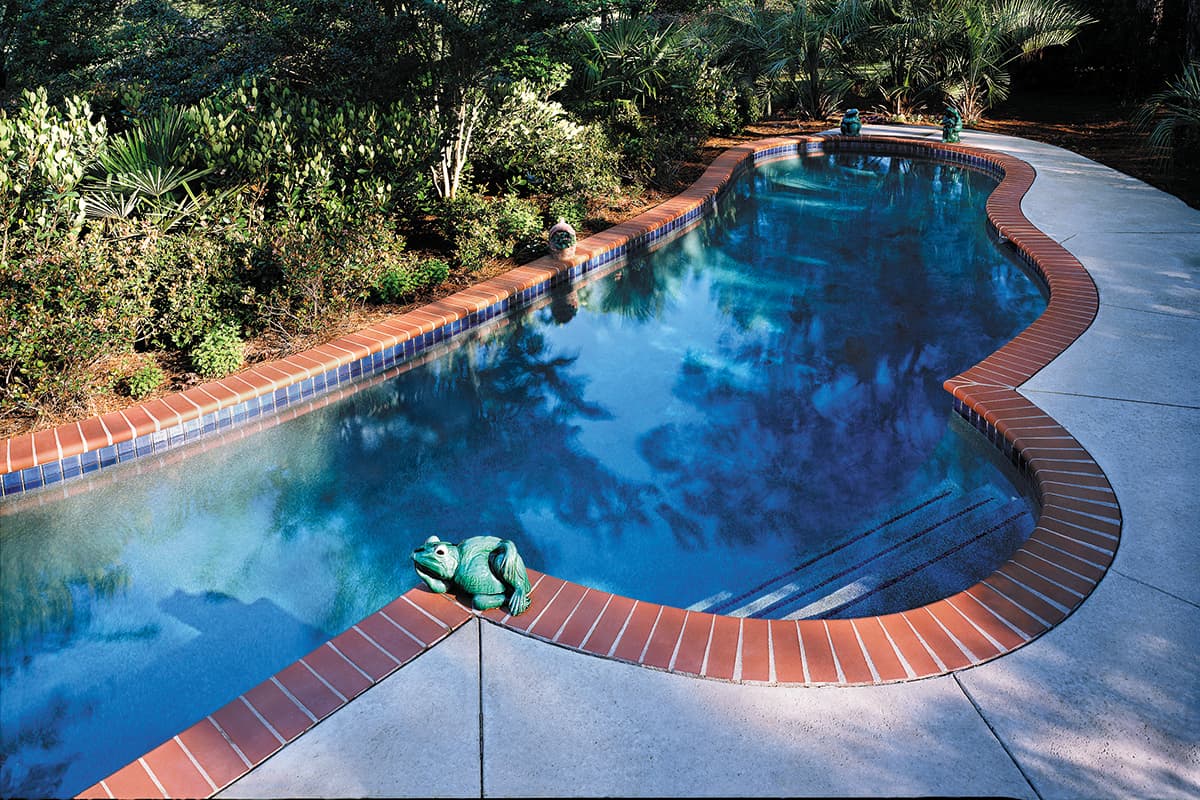 Freeform pool with Plantation Red brick coping and frog statue — Premier Pool Renovations